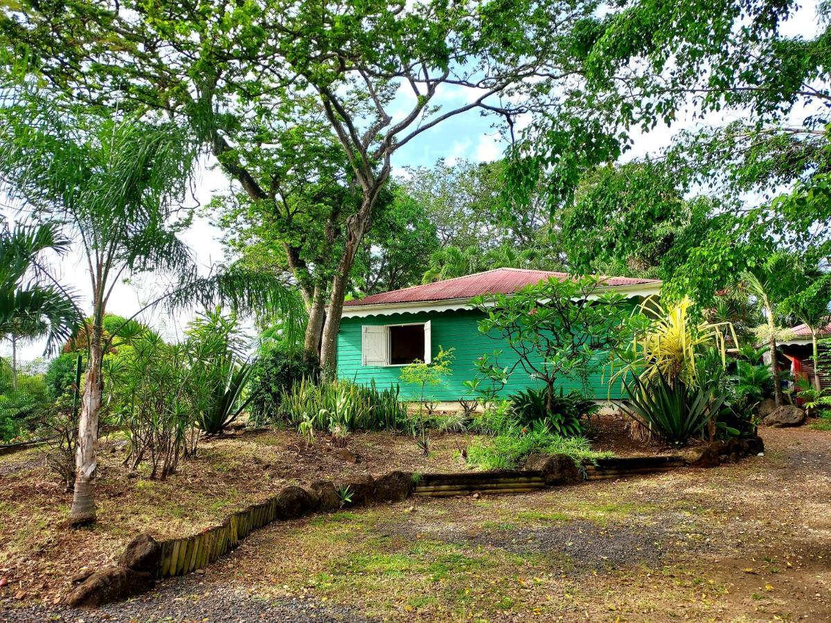 Bungalow Du Jardin Botanique De 德赛 外观 照片